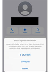 handyratenkauf-magazin-whatsapp-stummschalten-05